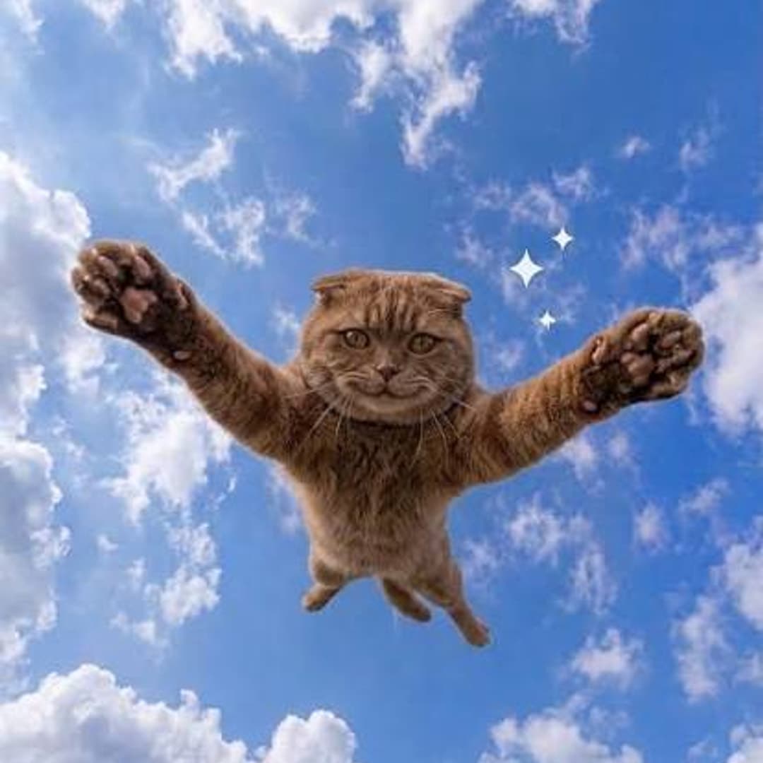 FlyingCat kapak görseli